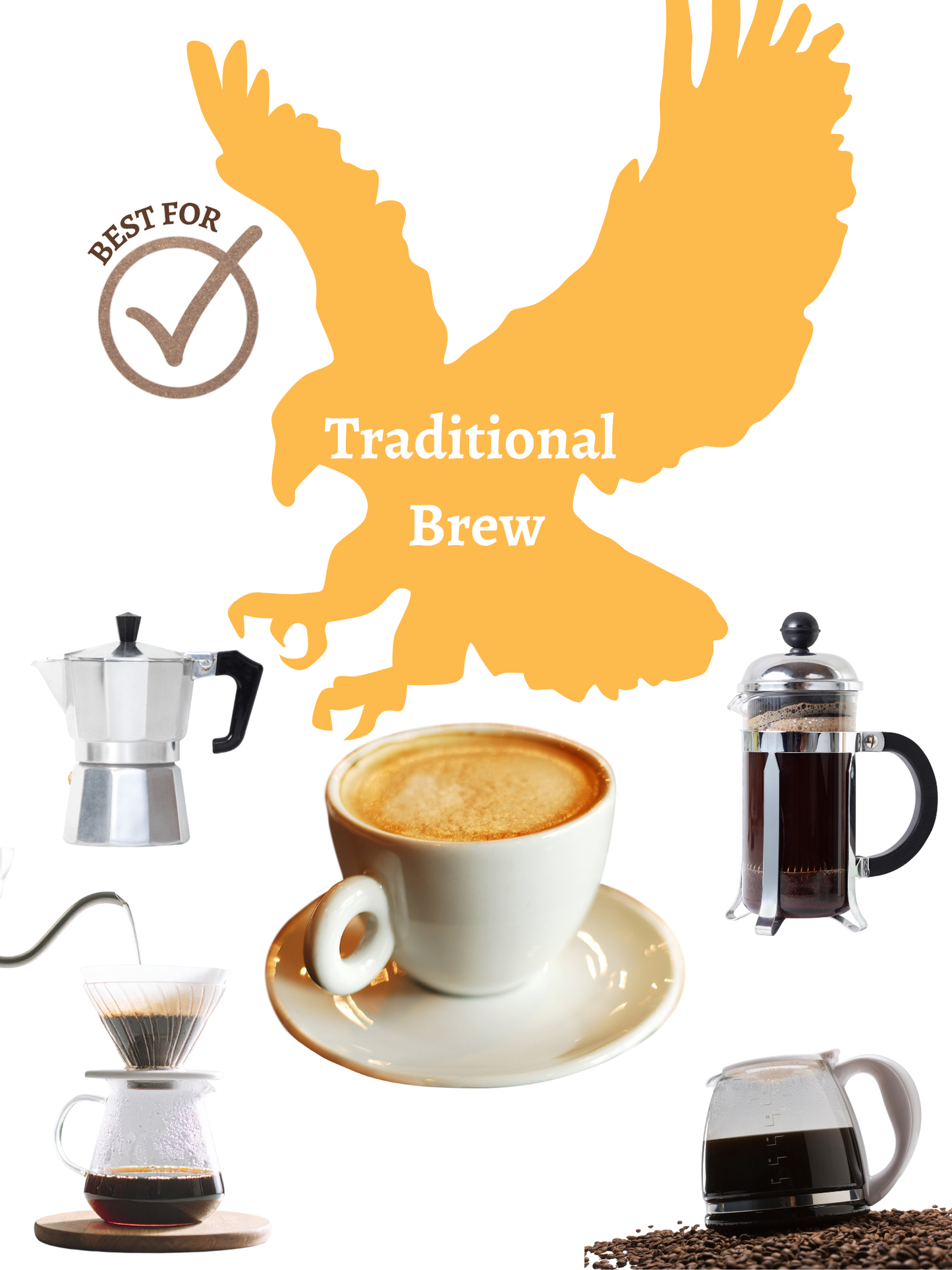 GECC Pick: Traditional Brew